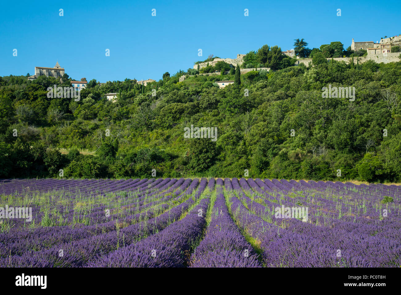 Saignon, Vaucluse; Provence, France, Europe Stock Photo