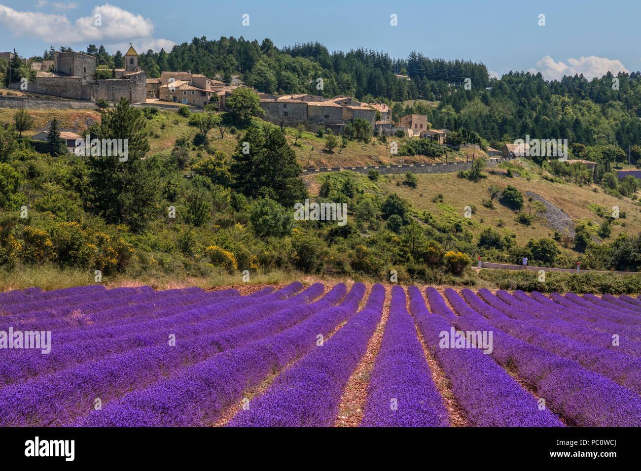 Aurel, Alpes-de-Haute-Provence, France, Europe Stock Photo