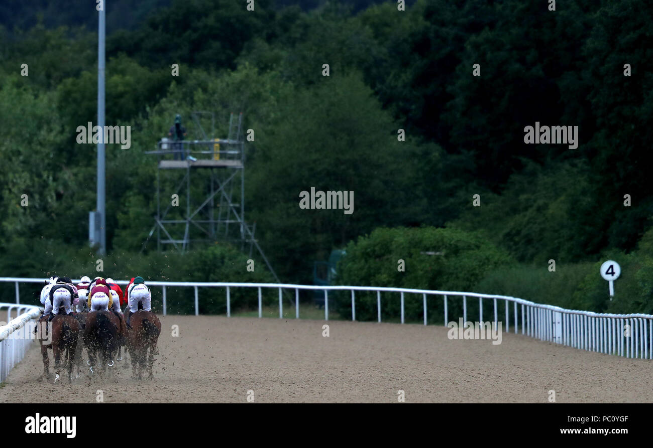 The field head down the back straight during The ROA/Racing Post Owners ...