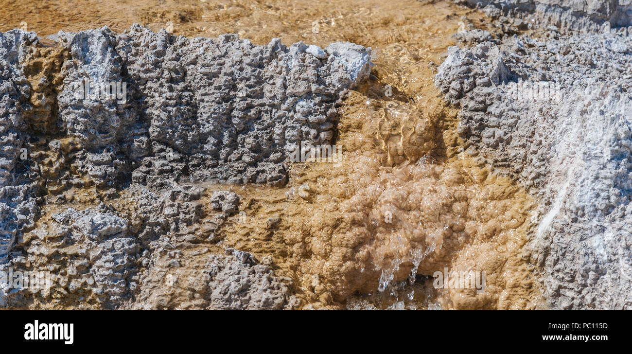 Mammoth Hot Springs in winter at Yellowstone National Park Stock Photo