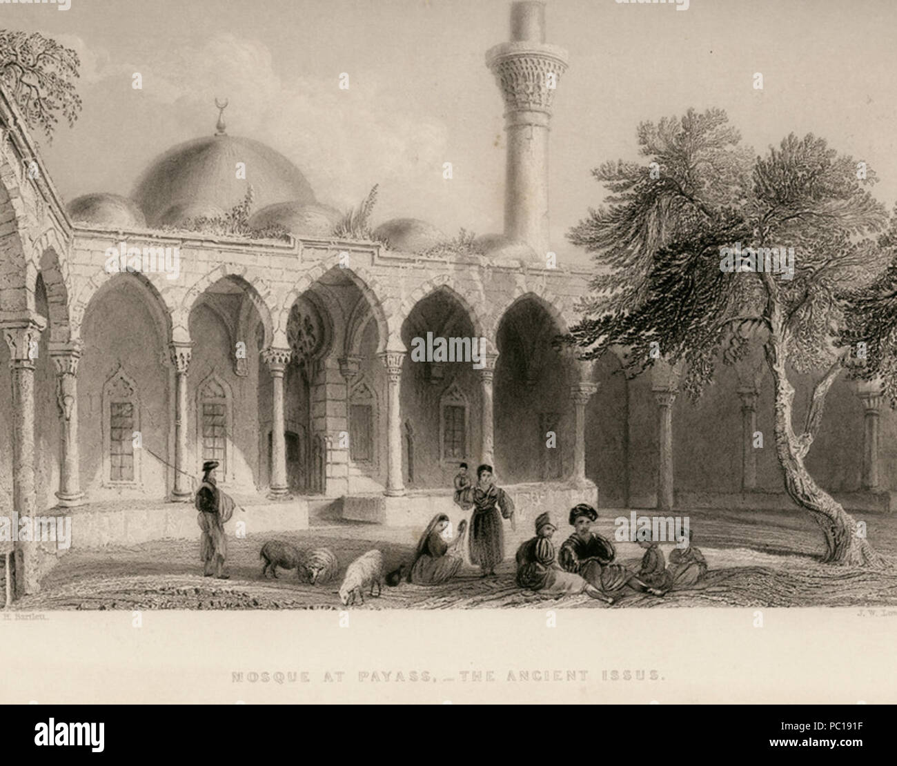 Issus turkey hi-res stock photography and images - Alamy