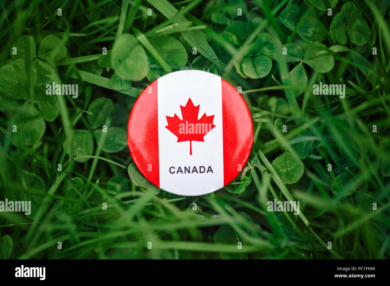 Huy hiệu hình tròn của Canada mang trong mình tinh thần về sự đoàn kết và tình yêu đất nước. Sự đa dạng về khoa học, chính trị, kinh tế đã được thể hiện một cách hoàn hảo và sắc nét trên sản phẩm này. Hãy khám phá thêm về huy hiệu hình tròn Canada qua hình ảnh liên quan để cảm nhận rõ ràng hơn về tinh thần đoàn kết của người dân Canada.