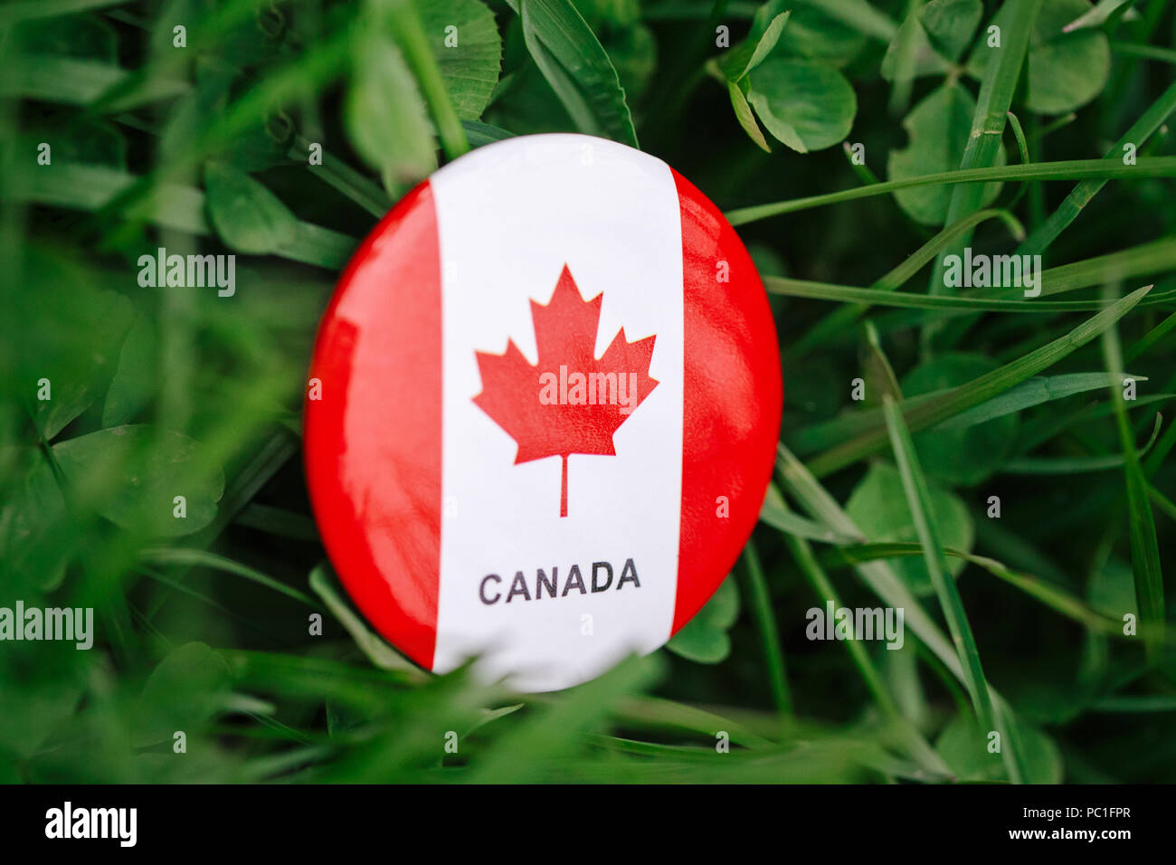 Dòng huy hiệu hình tròn của Canada là một trong những biểu tượng đáng tự hào của đất nước này. Sự tinh tế trong thiết kế cùng với sự đa dạng về màu sắc, hình ảnh và thông điệp đã tạo nên một sản phẩm hoàn hảo. Hãy đón xem hình ảnh liên quan đến dòng huy hiệu hình tròn này để cảm nhận sự đẳng cấp của Canada.