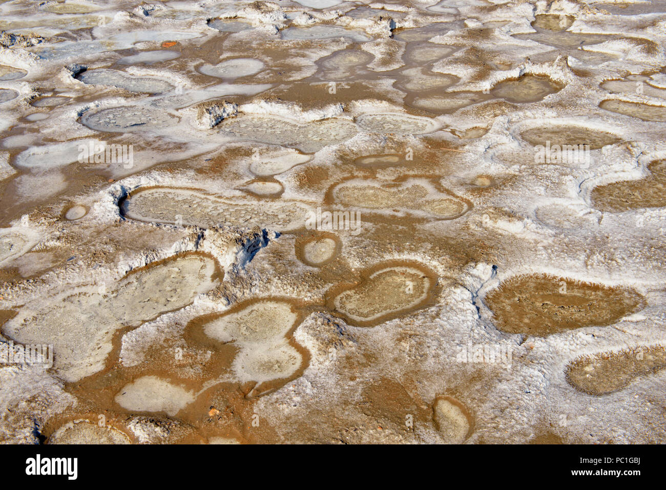 Salt formations in a wet seep at the Salt Plains, Wood Buffalo National Park , Northwest Territories, Canada Stock Photo