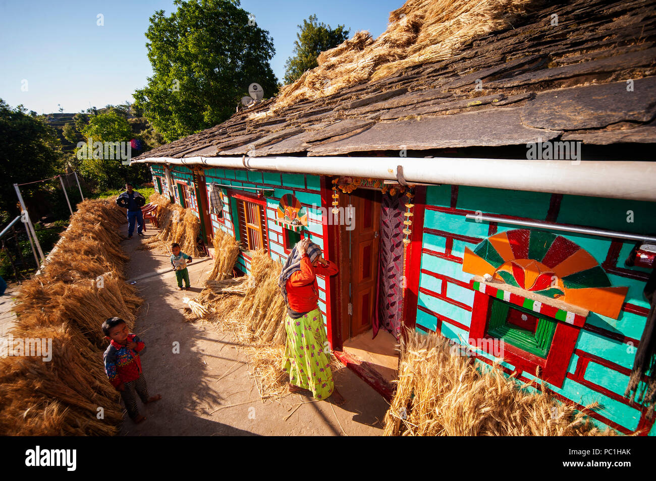 Crop Of Wheat Being Dried In An Kumaoni House At Kala Agar Village Kumaon Hills Uttarakhand 