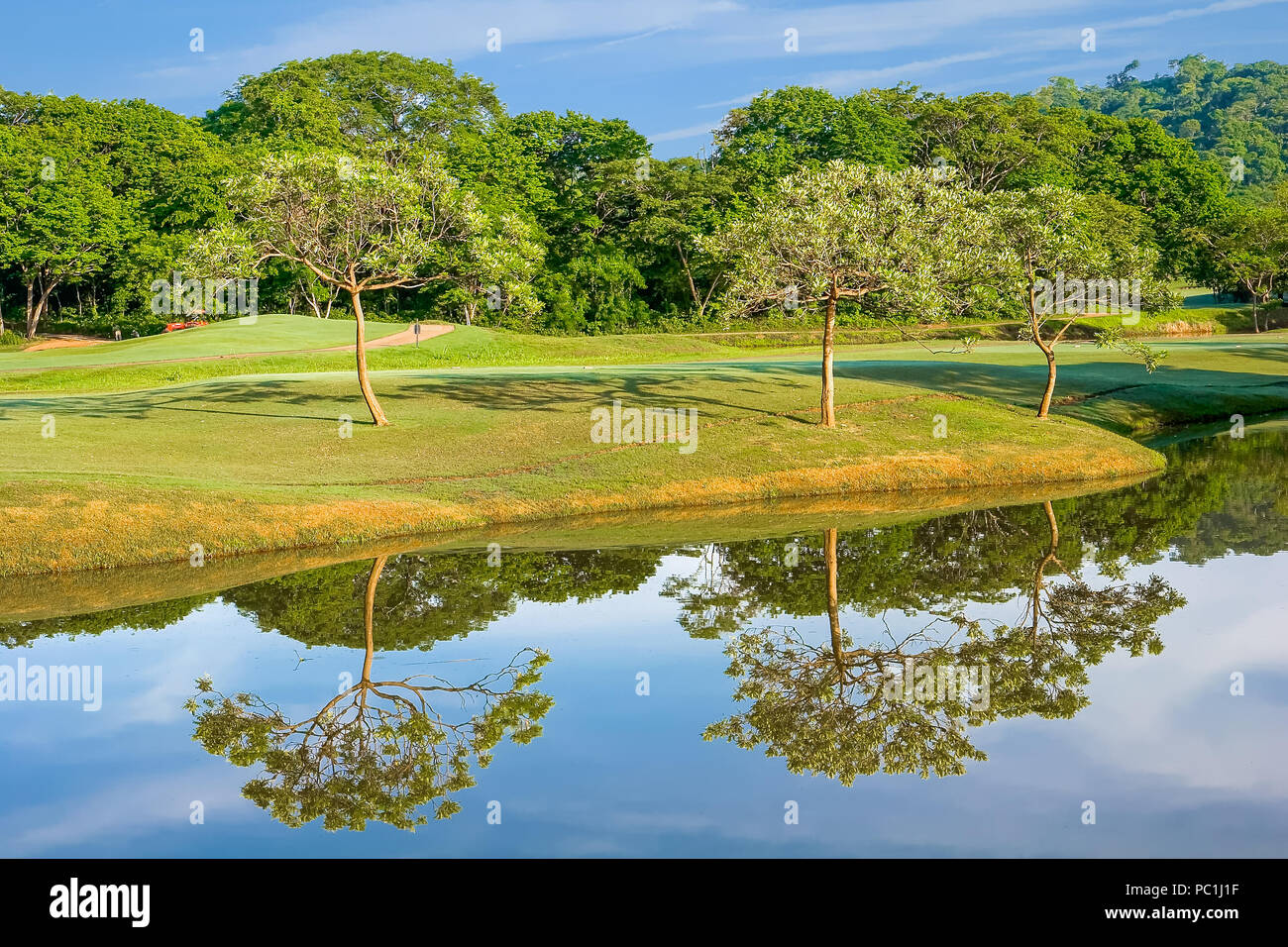 Trees on the Lake Stock Photo - Alamy