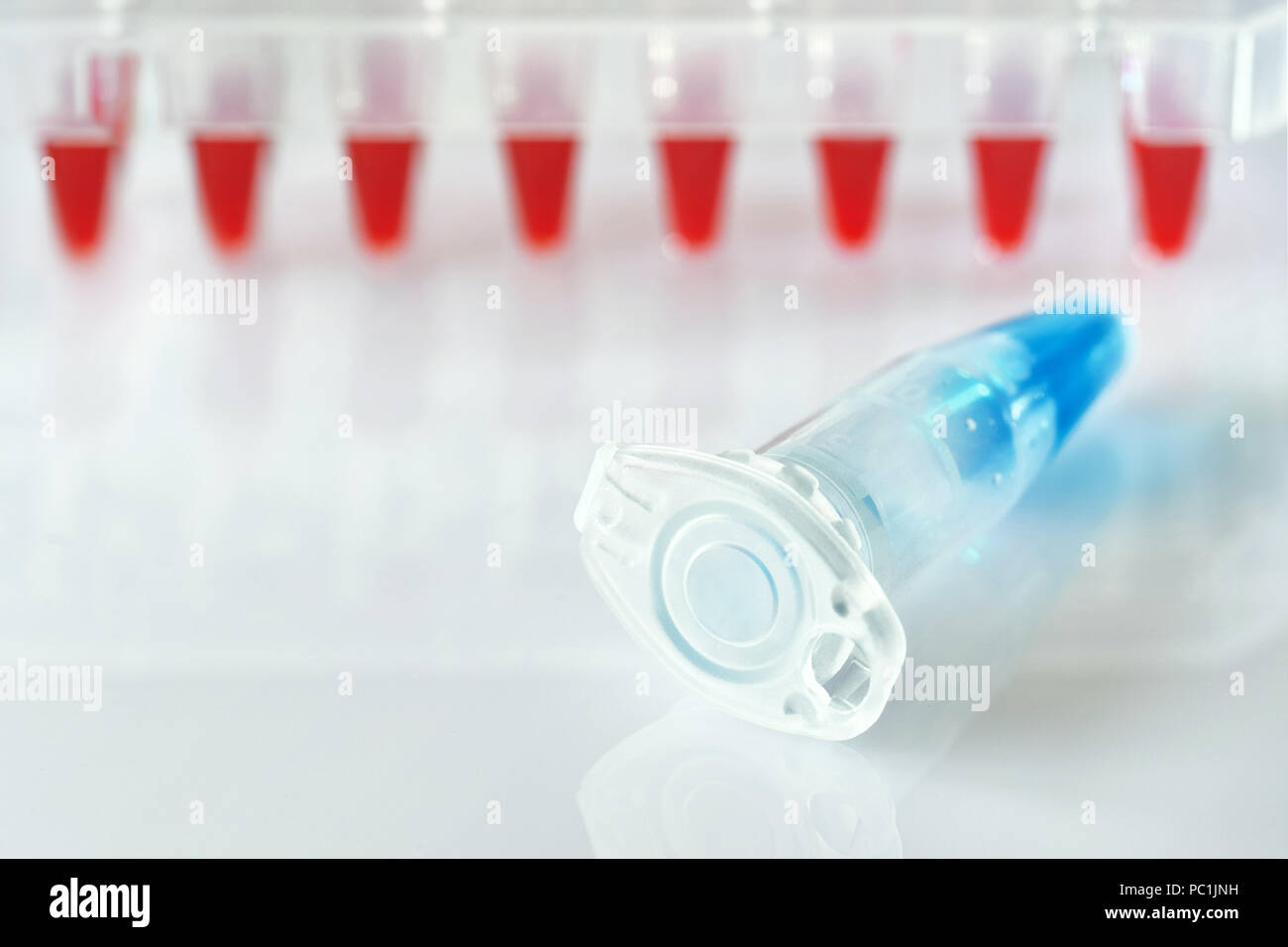 Science and molecular biology background with text space. Plastic tube with blue DNA sample and red tubes with PCR reaction mixtures. Stock Photo