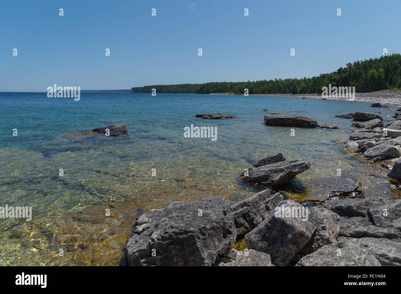 Bright clear aqua green water on Bruce Peninsula. Crystal clear water shows limestone rocks.  Cedar trees and conifers. Stock Photo