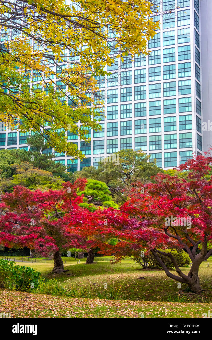 Hamarikyu (also Hama Rikyu) Oldest Japanse Garden and modern skyscrapers of Shiodome Area, Chuo Ward, Tokyo, Kanto Region, Honshu Island, Japan Stock Photo