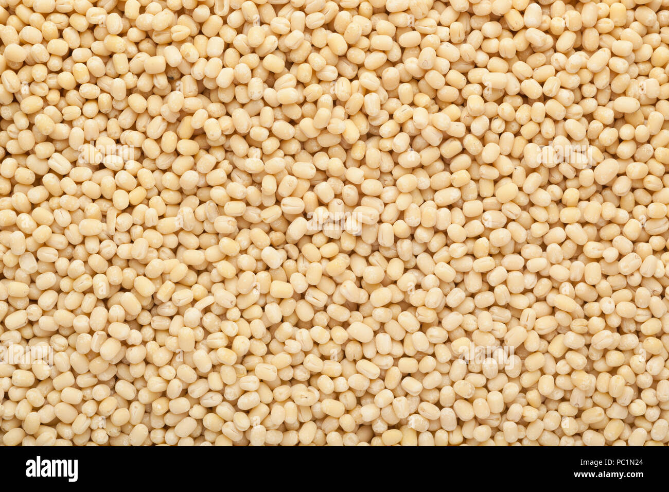 White urad in a square bowl isolated on white background Stock Photo