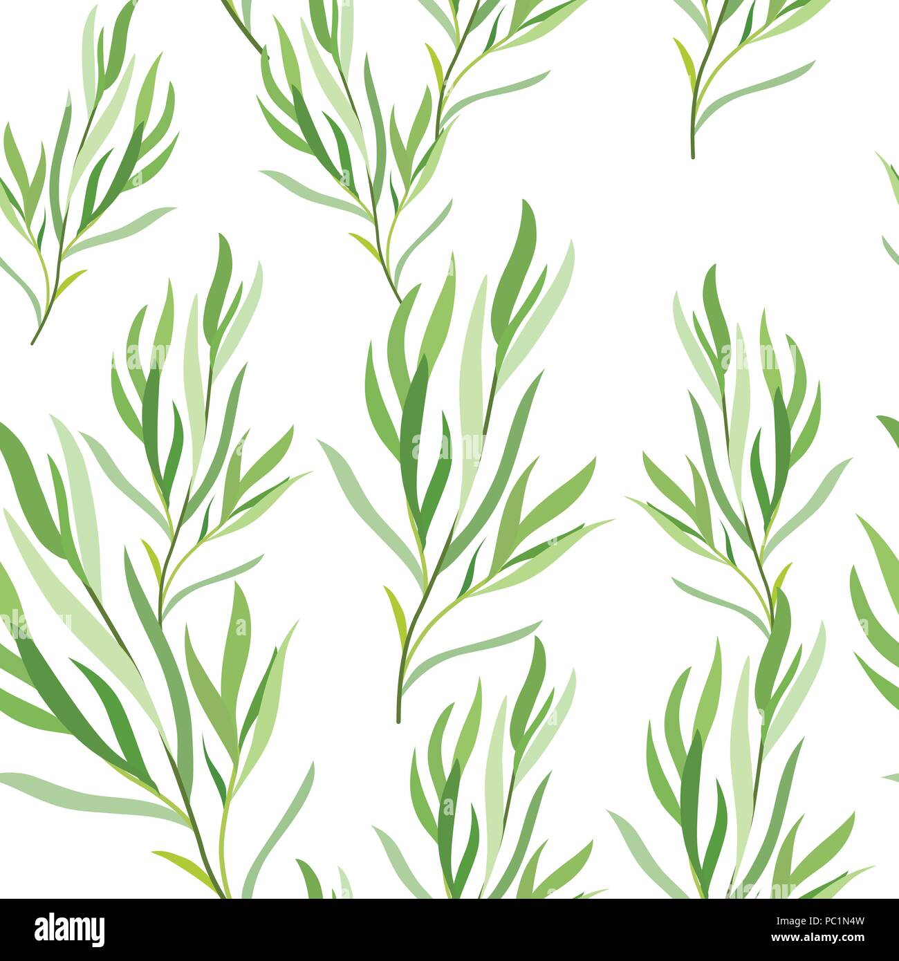 Seamless pattern with tarragon leaves. Botanical illustration. Vector Stock Vector