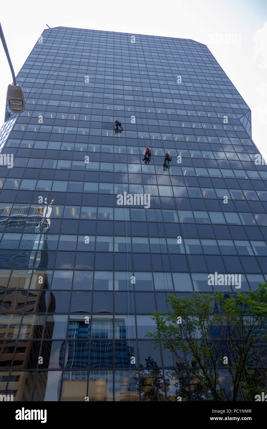 Commerical window washers rappel down the side of a building while