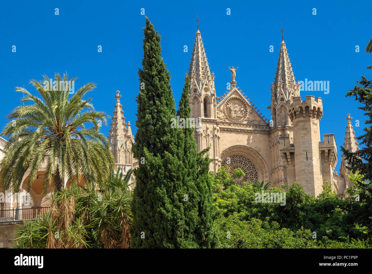 The cathedral (la Seu)  of  Palma de Mallorca Stock Photo