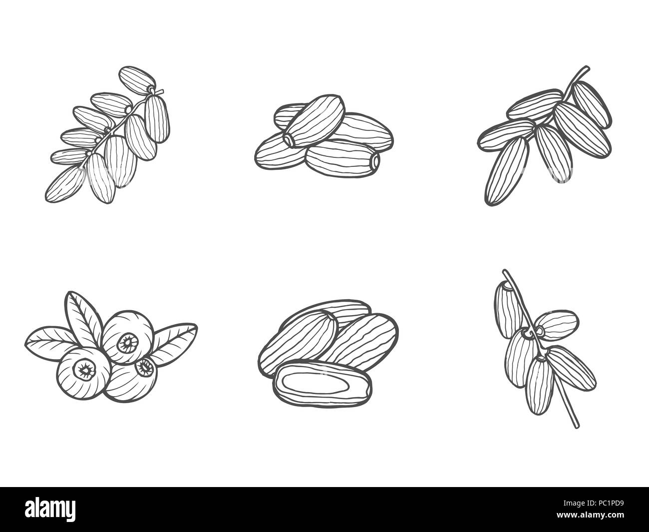 Background with date fruit branch, date fruits and leaves.  hand drawn illustration. Stock Photo