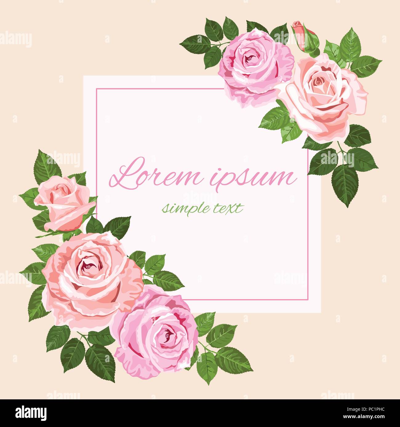 Vector pink and beige roses and green leaves on the ivory background