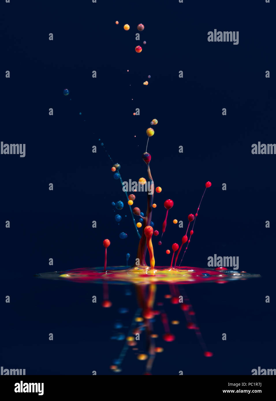 Abstract sculptures of colorful splashes of paint. Dancing liquid on a black background. Ink water splash. Color explosion. Stock Photo