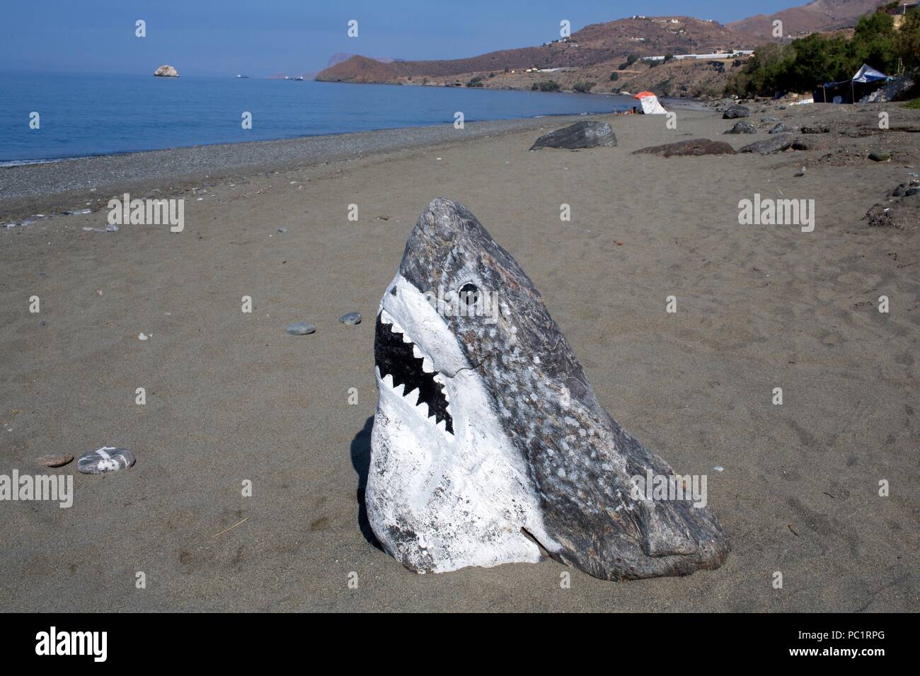 rock shark