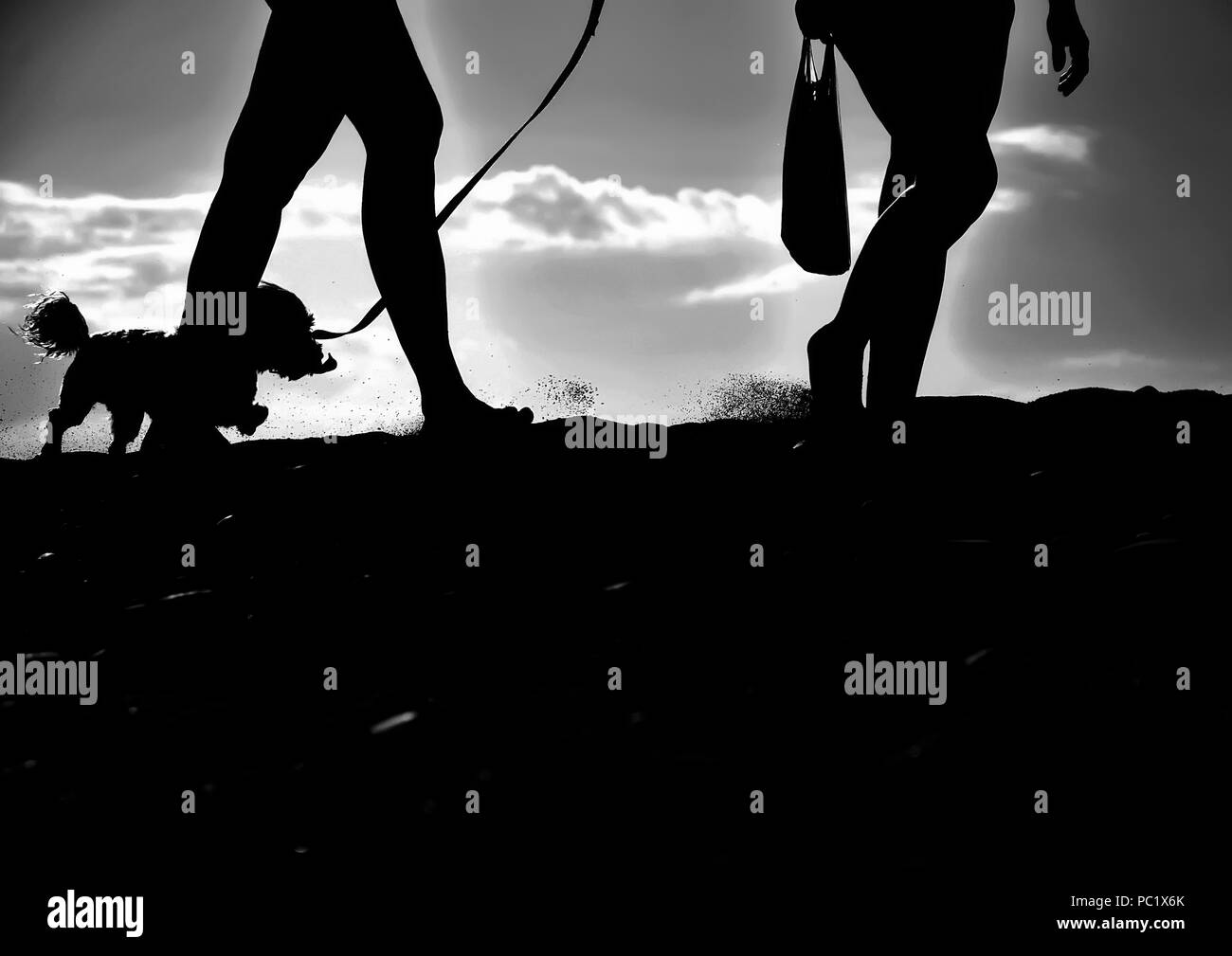 silhouettes of people who walking Stock Photo