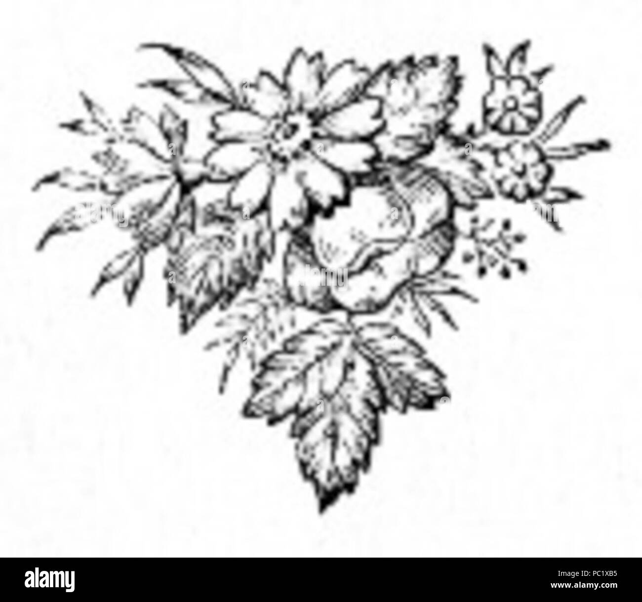 34 Flowers Drawing Stock Photo Alamy