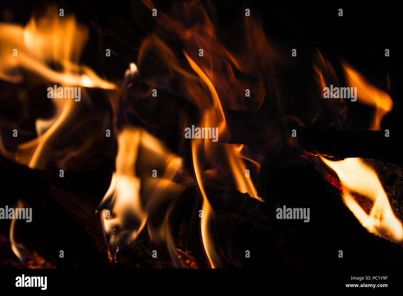 Fire flames close-up on a dark background Stock Photo
