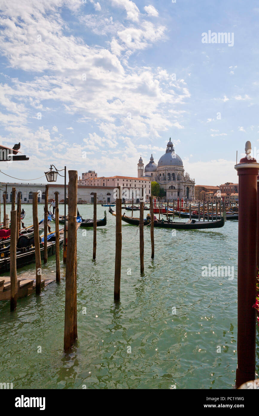 Gondolas in front of Santa Maria della Salute, Venice Stock Photo