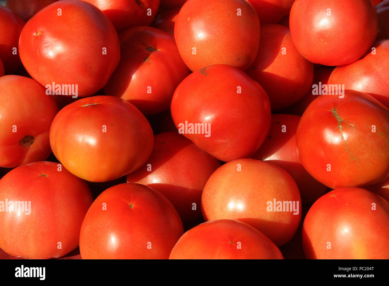 Tomatoes for sale at the market Stock Photo - Alamy