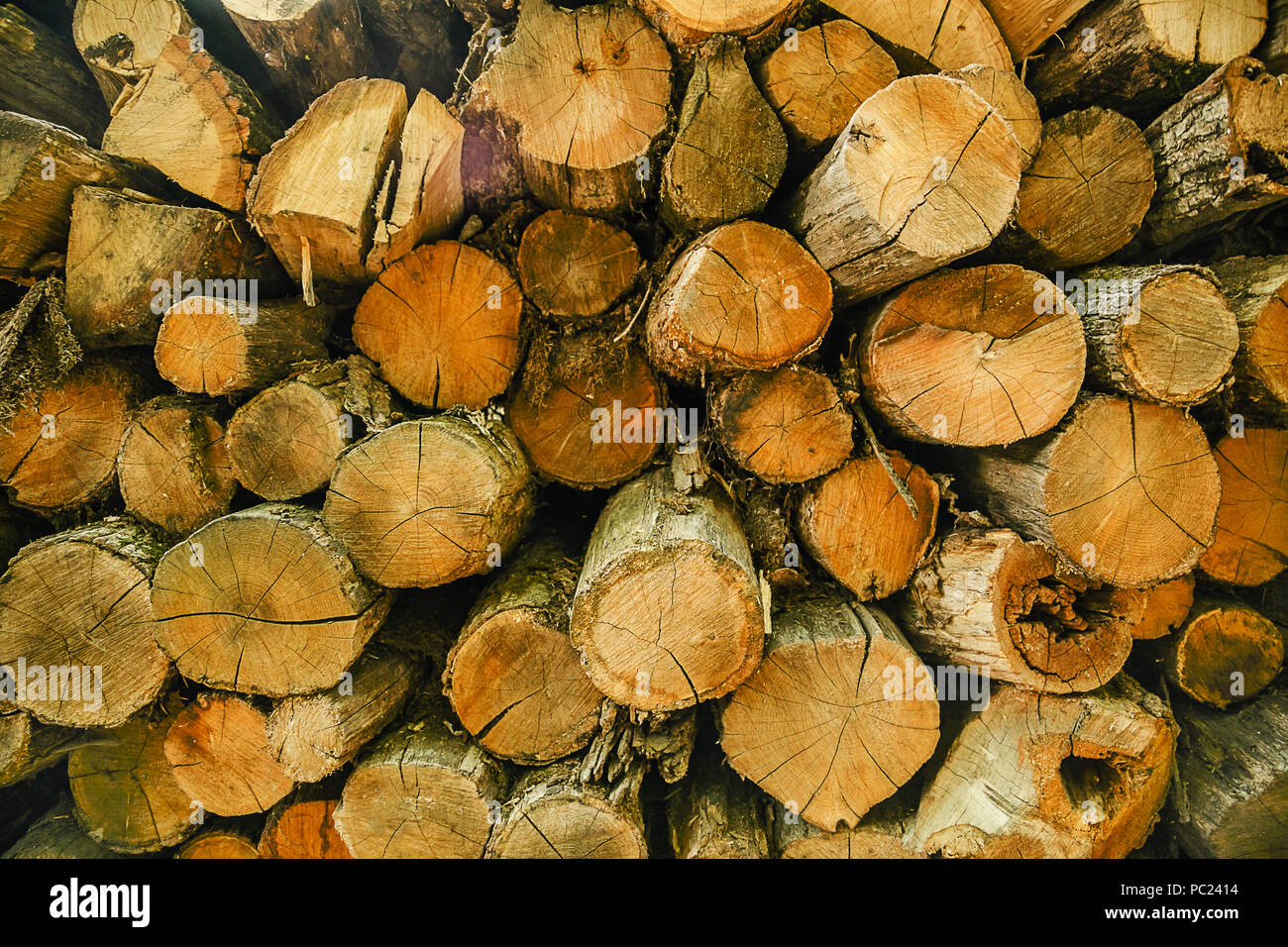 Wood logs background. Pile of cut tree wood as abstract natural ...