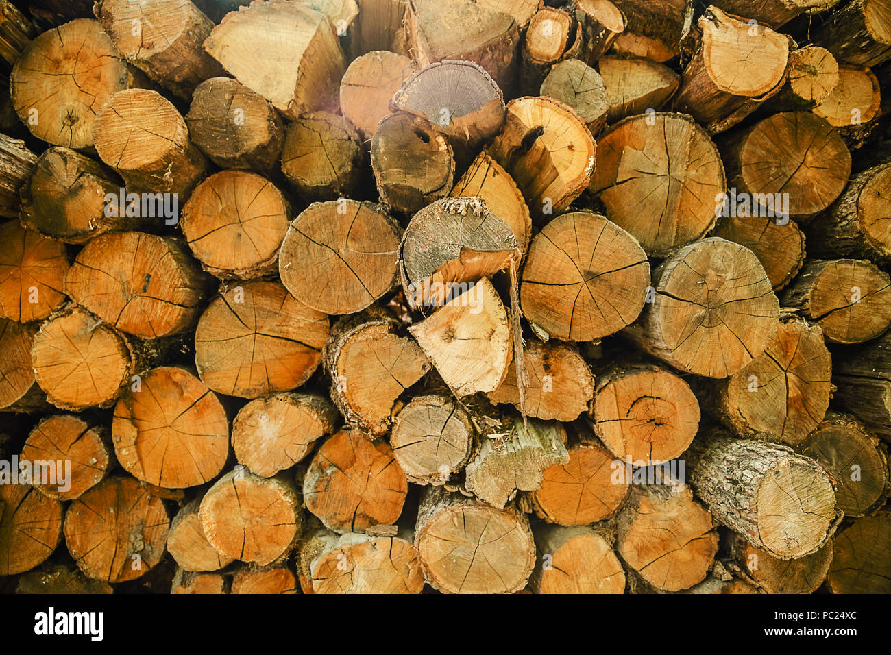 Wood logs background. Pile of cut tree wood as abstract natural ...