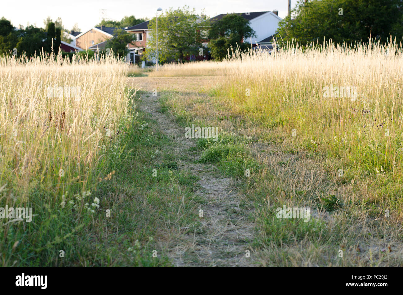 Stockholm, Sweden - 15 July 2018. The heat wave over Sweden and Stockholm continues with around 30 degrees celsius all day and night. Stock Photo