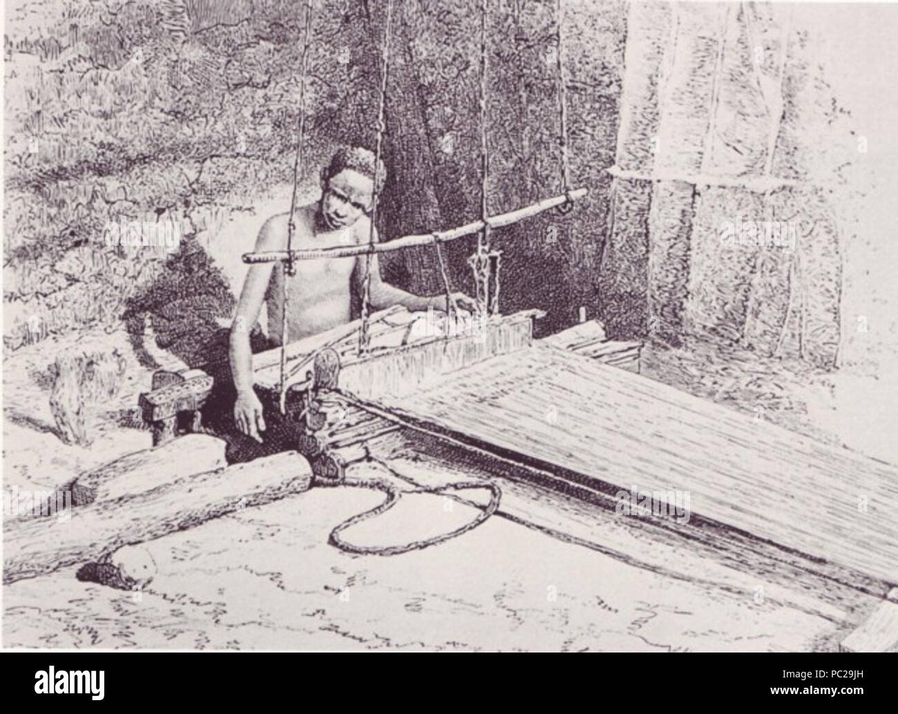 421 Mogadishu weaver 1882 Stock Photo