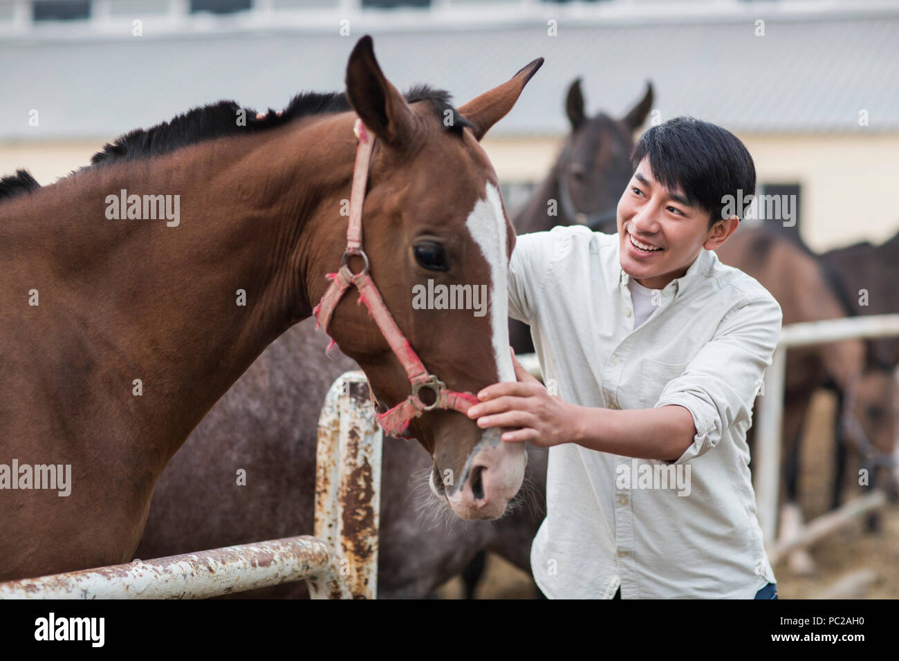 Cheerful young Chinese man and horse Stock Photo