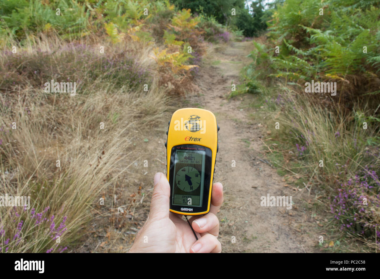 Woman using a handheld Garmin GPS unit to find the way along countryside (heathland) footpaths Stock Photo