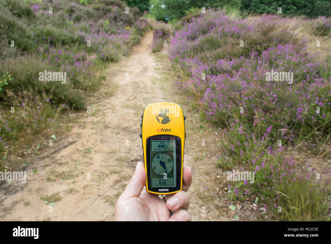 Woman using a handheld Garmin GPS unit to find the way along countryside (heathland) footpaths Stock Photo