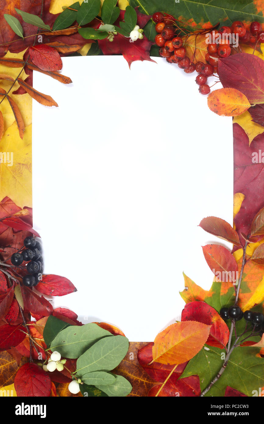 Frame of colorful autumn leaves isolated on white background Stock ...