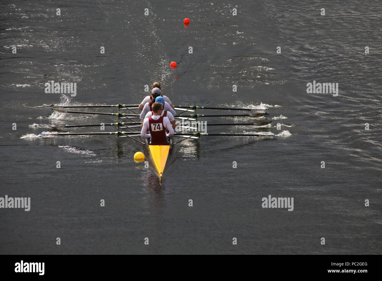 Tees Rowing Club, coxless quad, at Warrington Rowing Club 2018 Summer regatta, Howley lane, Mersey River, Cheshire, North West England, UK Stock Photo