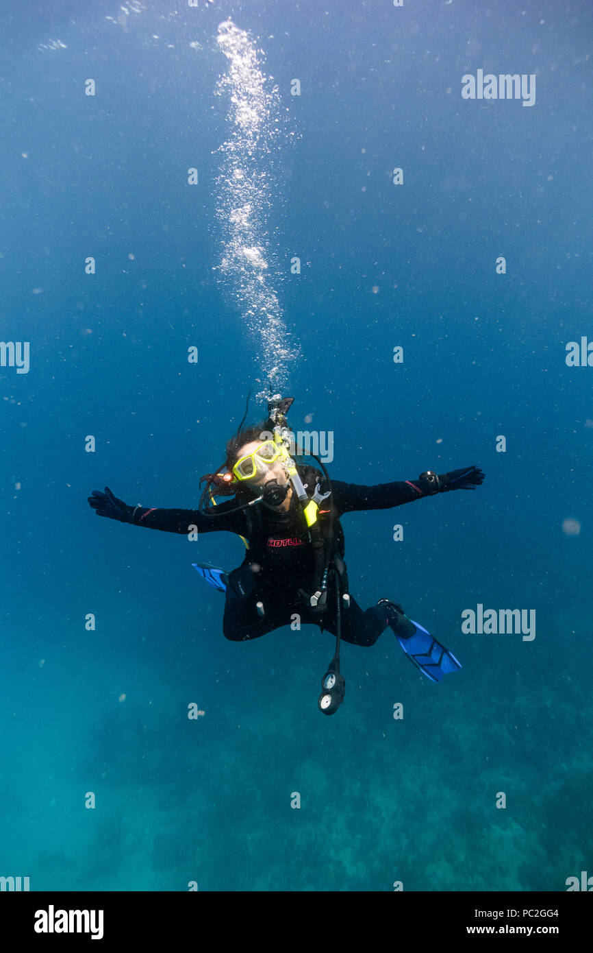 SCUBA diving the coral reefs and boat wrecks in the British Virgin