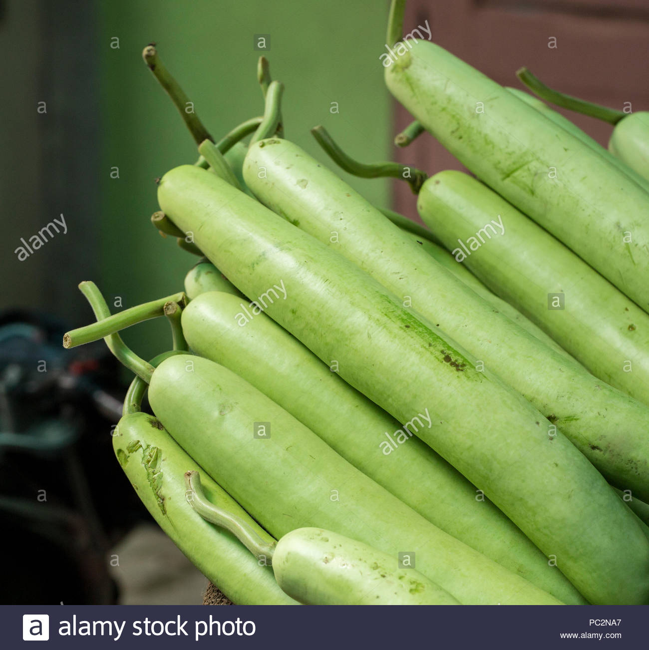 Lauki High Resolution Stock Photography And Images Alamy Lauki High Resolution Stock Photography And Images Alamy