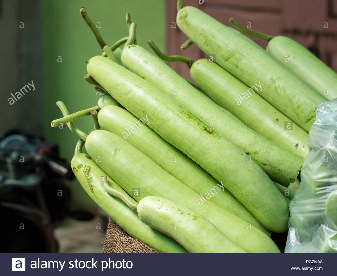Lauki High Resolution Stock Photography And Images Alamy Lauki High Resolution Stock Photography And Images Alamy