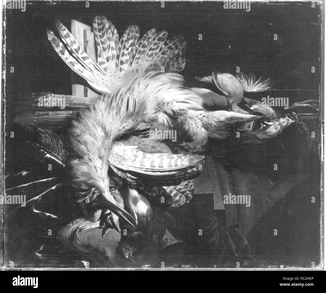 Abraham Mignon - Jagdbeute mit Rohrdommel und weiteren Vögeln - 1702 - Stock Photo