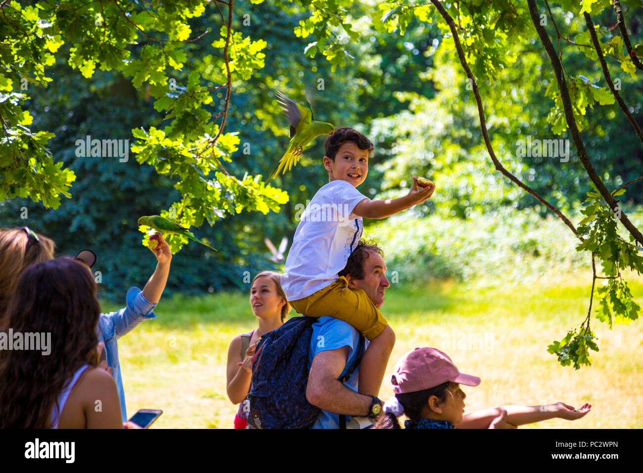 Boy on top of father's shoulders feeding a parakeet in Hyde Park, London, UK Stock Photo