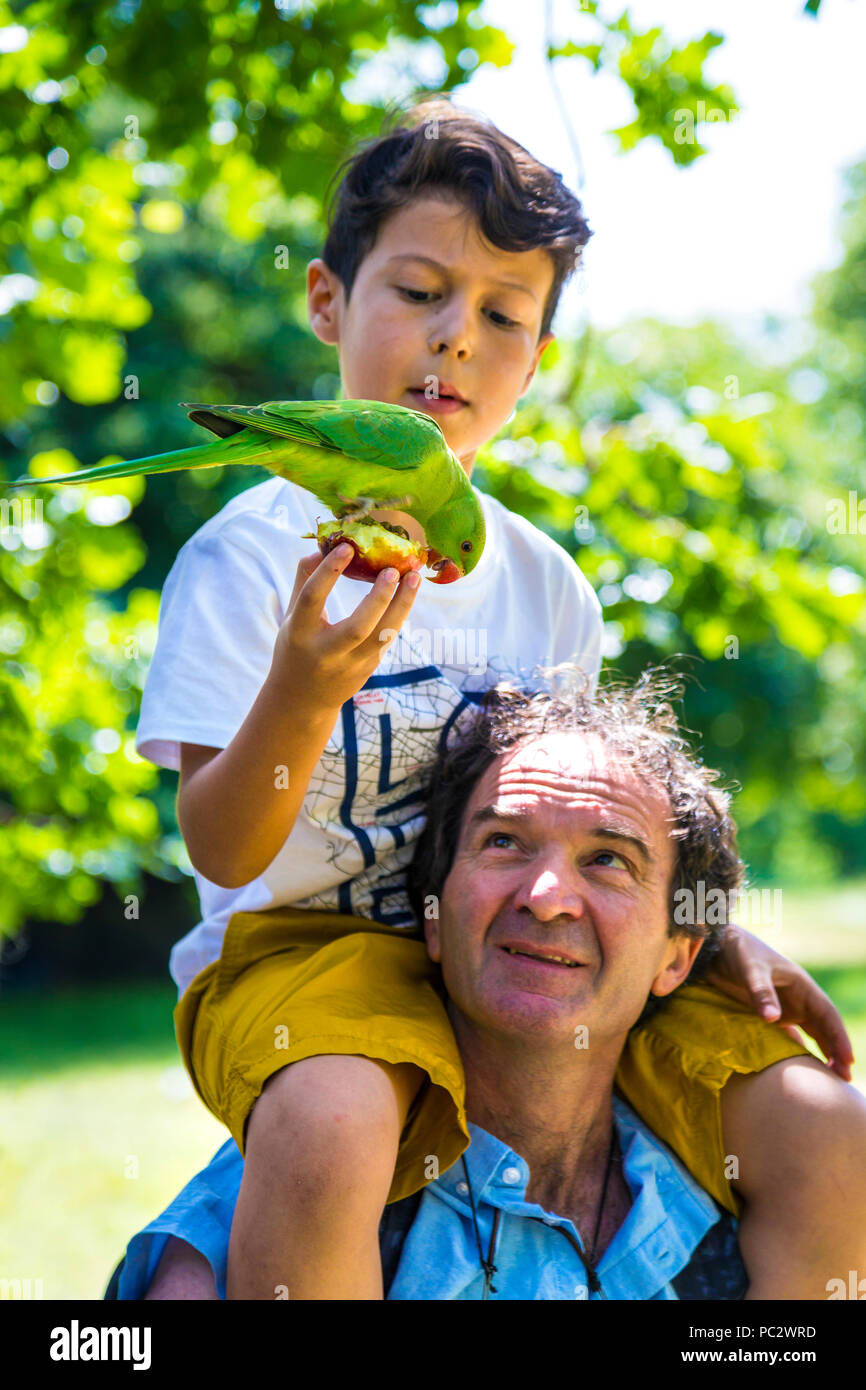 Boy on top of father's shoulders feeding a parakeet in Hyde Park, London, UK Stock Photo