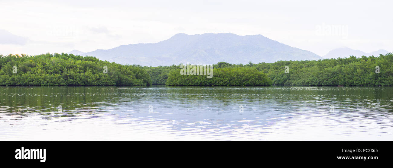 Nature and waters of Trinidad and Tobago, South America Stock Photo - Alamy