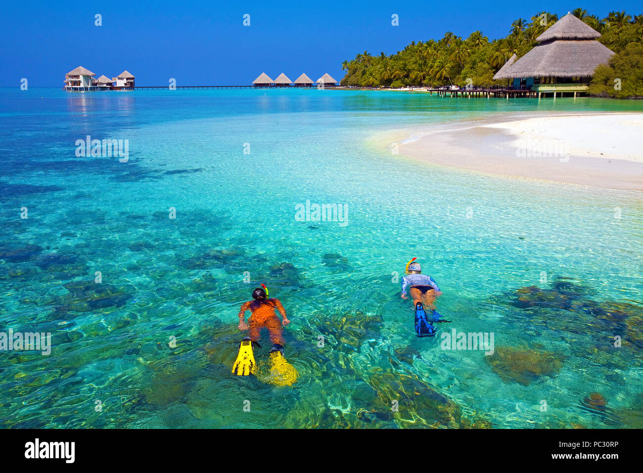 Snorkeller At The Coral Reef Of Rannalhi Island Maldive Islands Stock Photo Alamy