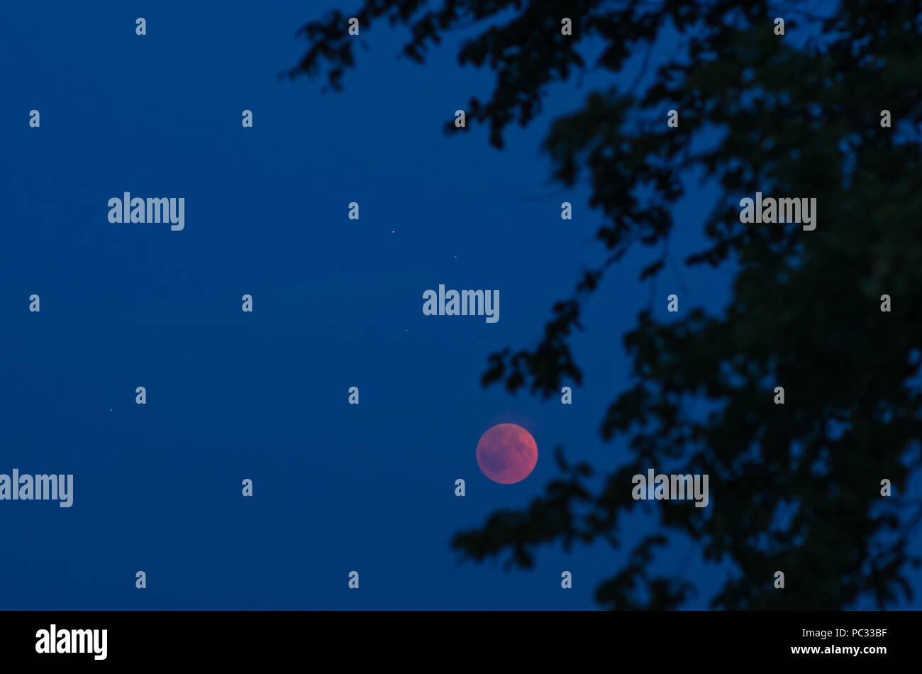 Total lunar eclipse on the evening of July, the 27th 2018 with moon ...