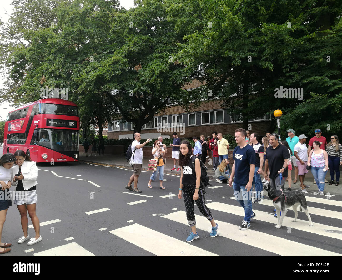 Crowds of tourists pose for photos on the zebra crossing on Abbey Road, London, NW8, July 2018. The Beatles album turns 50 on 26th September, 2019. Stock Photo