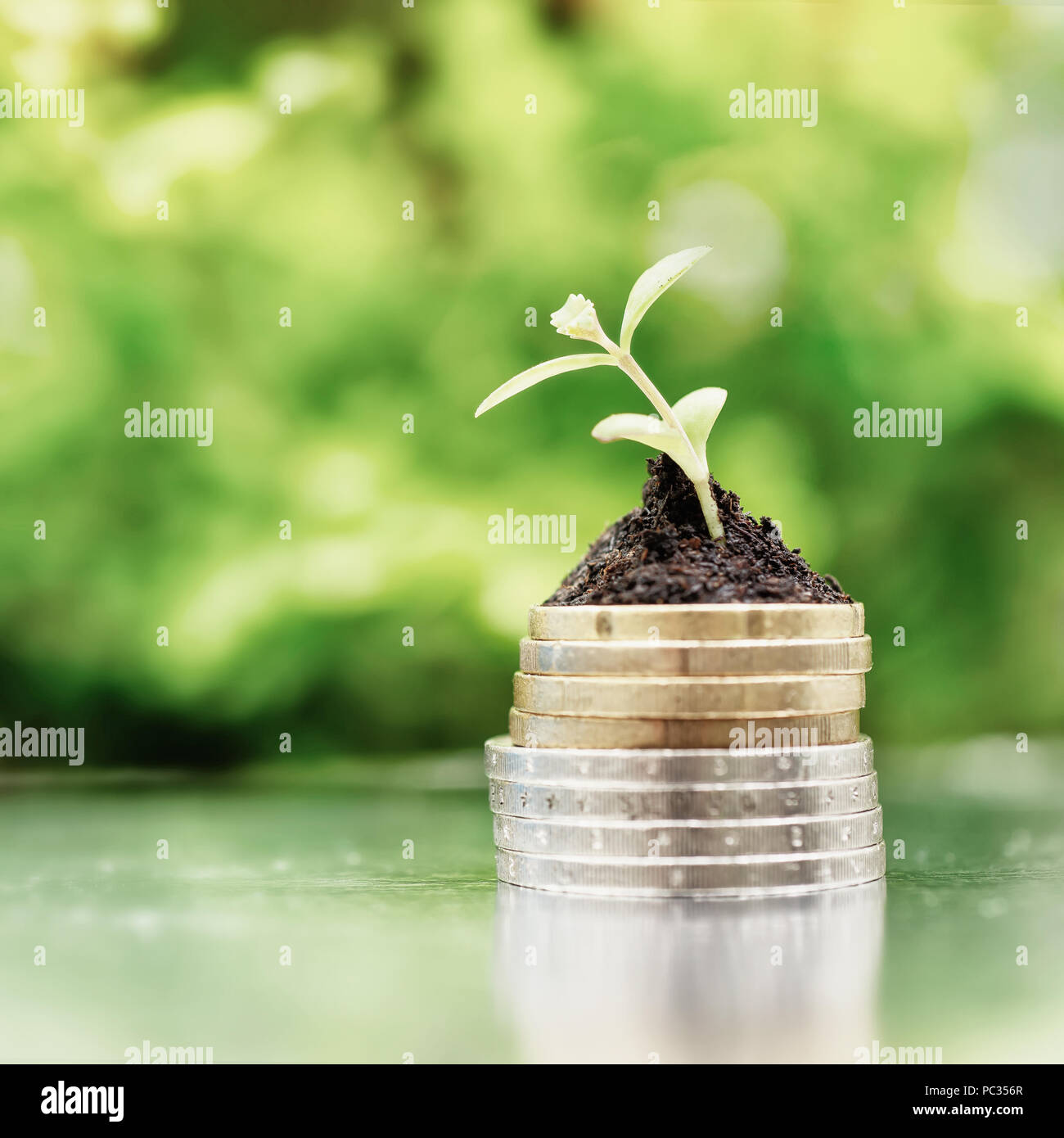 Coins in soil with young plant on green background. Money growth concept. High key filter. Stock Photo