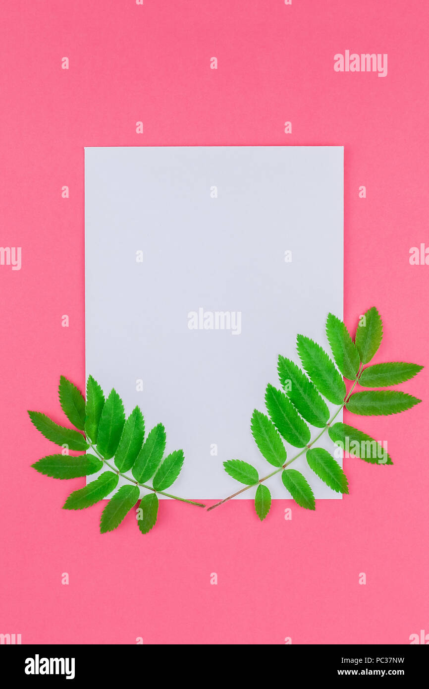 Creative flat lay top view white letter mock up with fresh green rowan ...