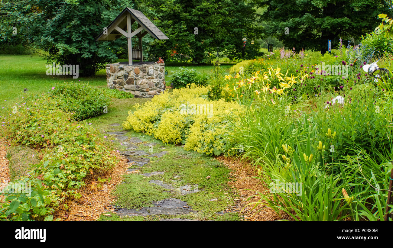 plant covered stone path winding through perennial garden in summer Stock Photo