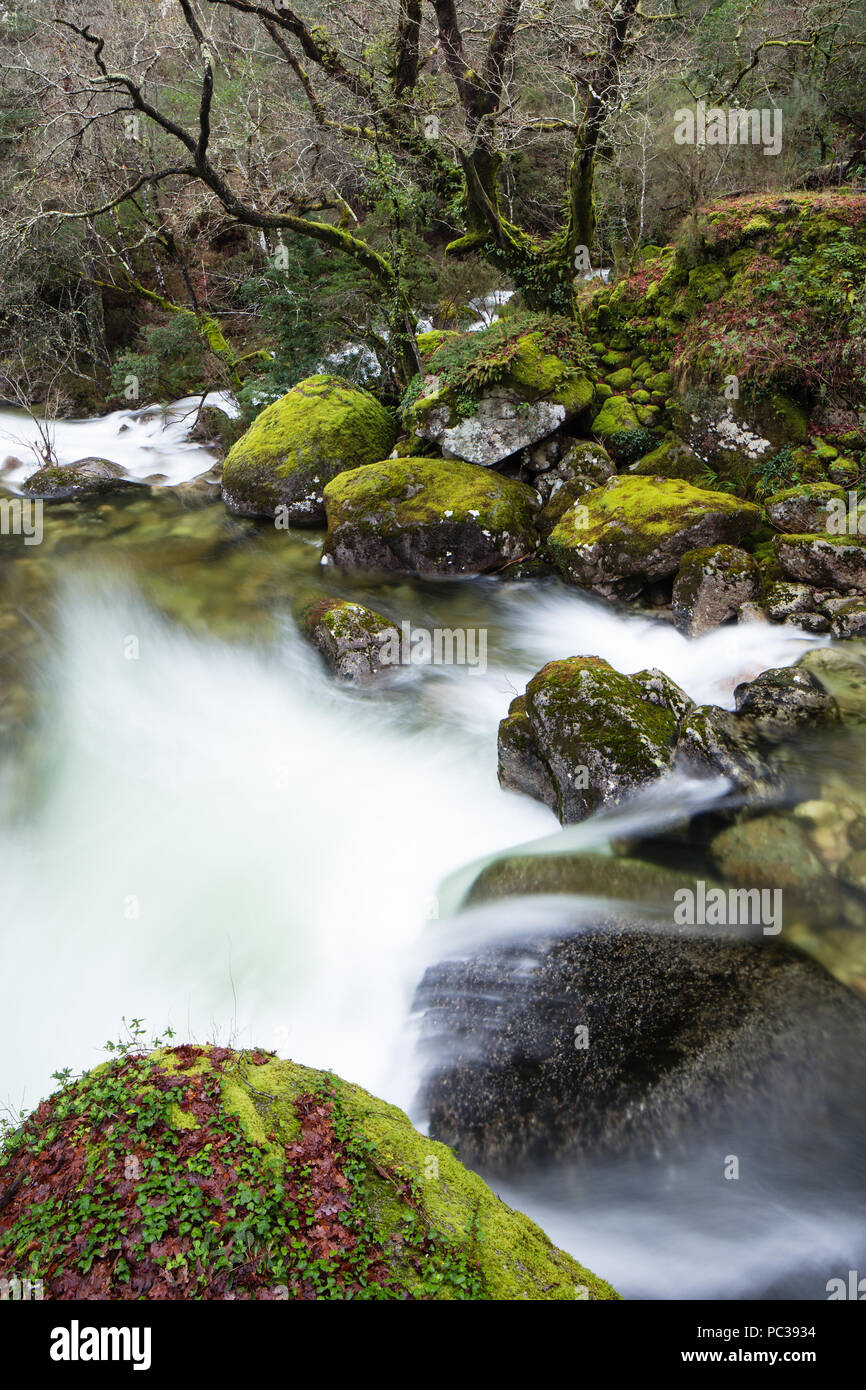 The river Homen, rio homen, cascades over boulders among luxuriant green colours of the spring vegetation. By the geira romana, roman road, through th Stock Photo