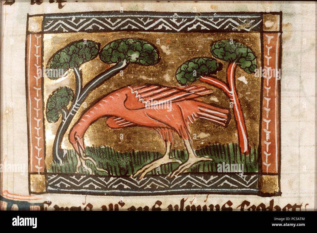 Acautis - Der naturen bloeme - Jacob van Maerlant - KB KA 16 - 077r a1 ...